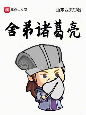 舍弟诸葛亮无防盗txt