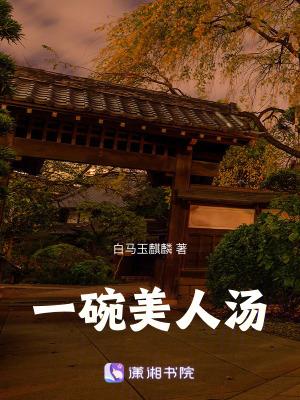 一碗美人汤讲的什么