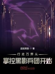 行走万界从掌控黑影兵团开始 盗版黑影