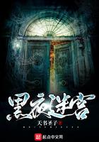 黑夜迷宫完整版