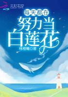 每天都在努力当白莲花txt