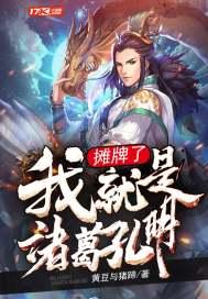 我是诸葛亮免费