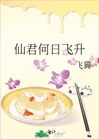 仙君何日飞升 飞翼txt