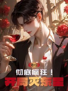 港综系统流港片