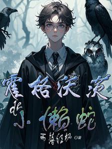 idrlabs霍格沃茨