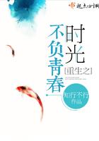 重生之不负青春陈放