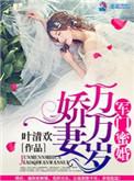 军门蜜婚:娇妻万万岁