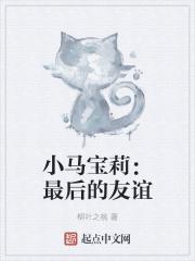 小马宝莉:最后的友谊